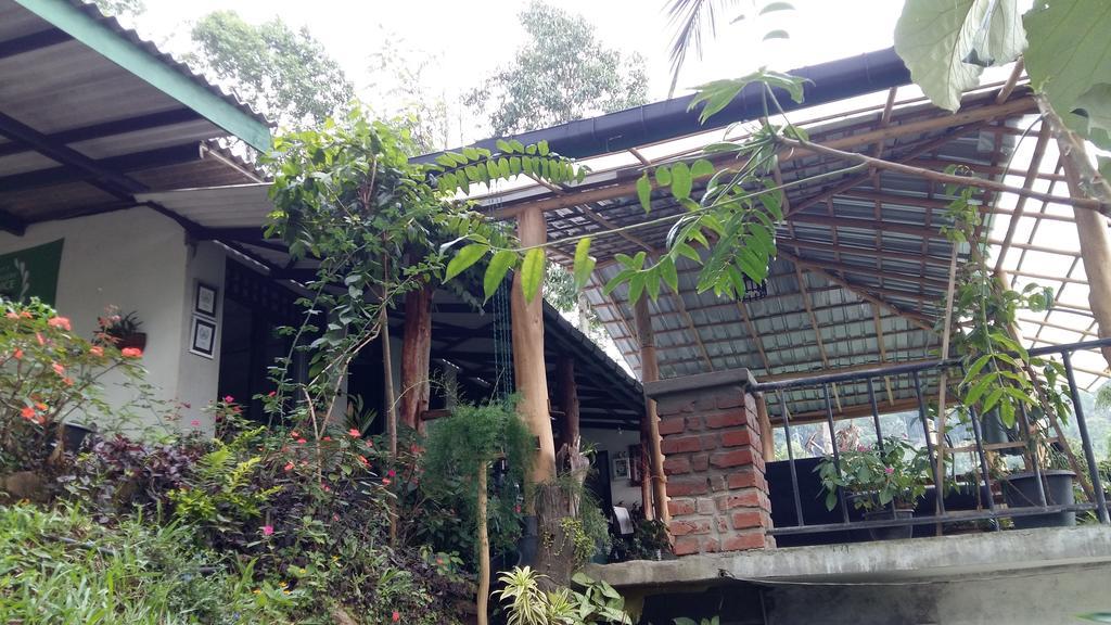 Idyll Homestay Ella Exterior photo